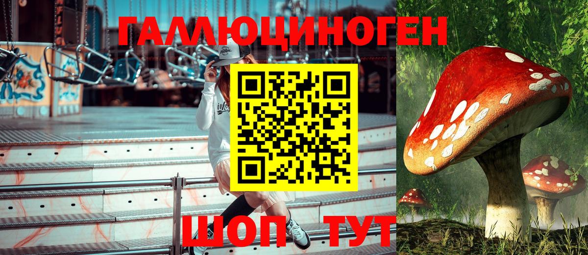 Псилоцибиновые грибы GOLDEN TEACHER  Вход с VPN  Партизанск 