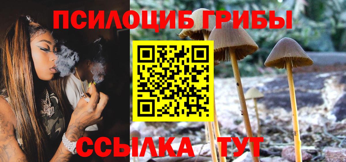 Псилоцибиновые грибы MAGIC MUSHROOMS Партизанск